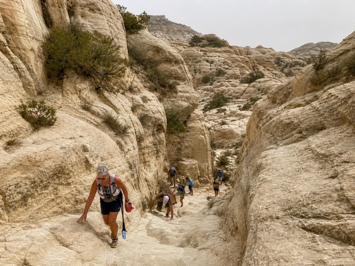 Randonneurs gravissant des marches calcaires abruptes sur le sentier du Pas du Moine, entourés de végétation basse