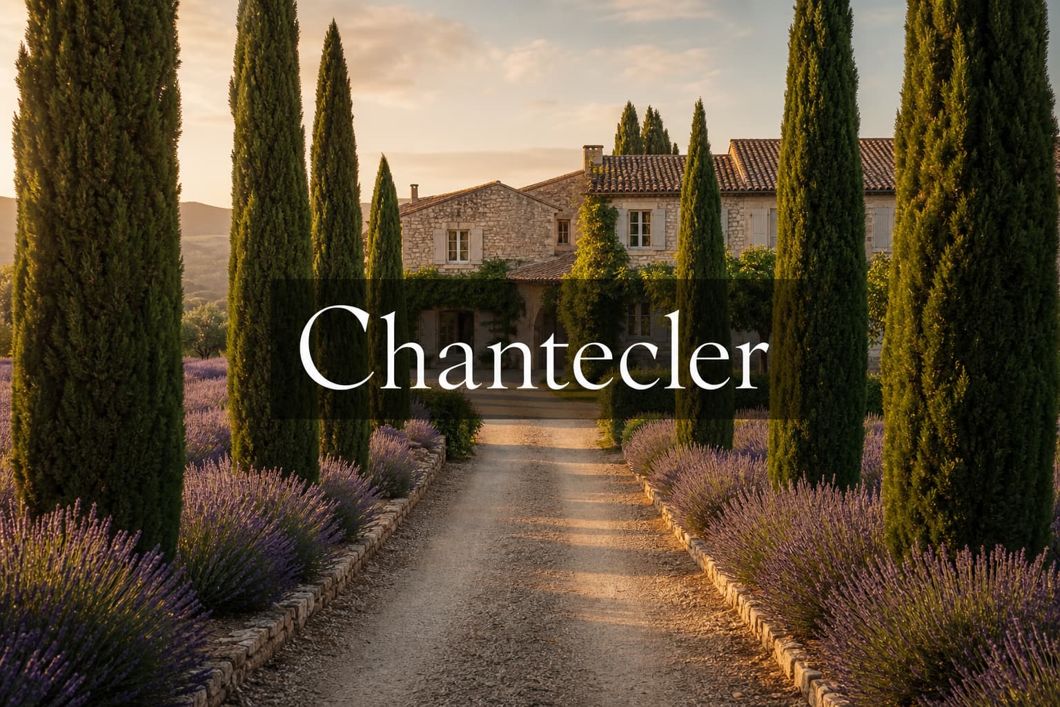 Chemin de gravier bordé de cyprès et de lavande menant à un mas provençal sous une lumière dorée, avec texte incrusté