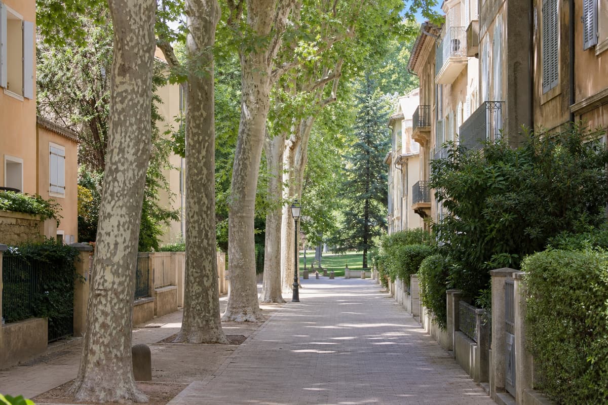 Rue résidentielle calme bordée d’arbres, avec des maisons et petits immeubles, et un chemin piéton menant vers un espace vert.